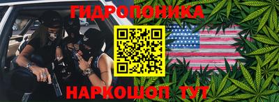 прущие грибы Кулебаки