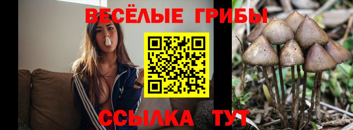 Железноводск  Псилоцибиновые грибы Magic Shrooms  Галлюциногенные грибы Magic Shrooms  Вход с VPN 